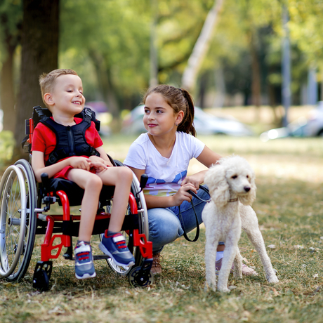 Un garçon en fauteuil roulant joue avec sa sœur et leur chien dans le parc.